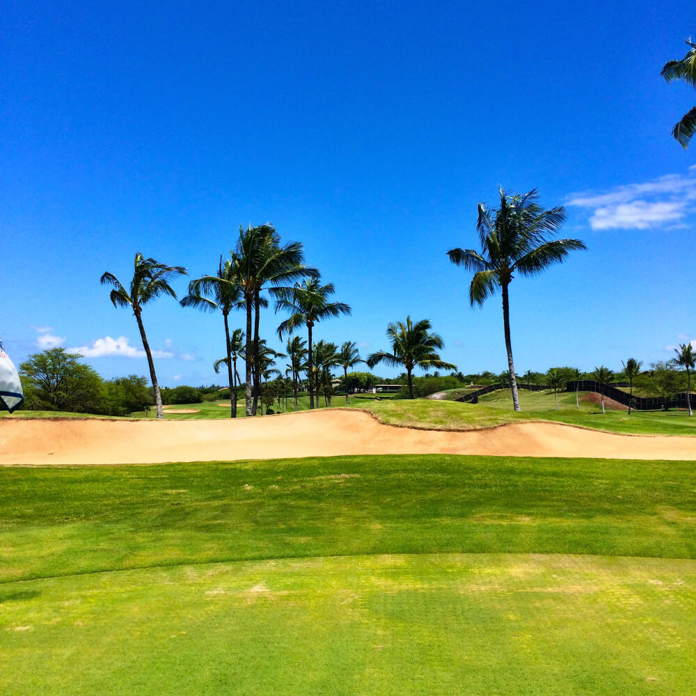 Terrain de golf