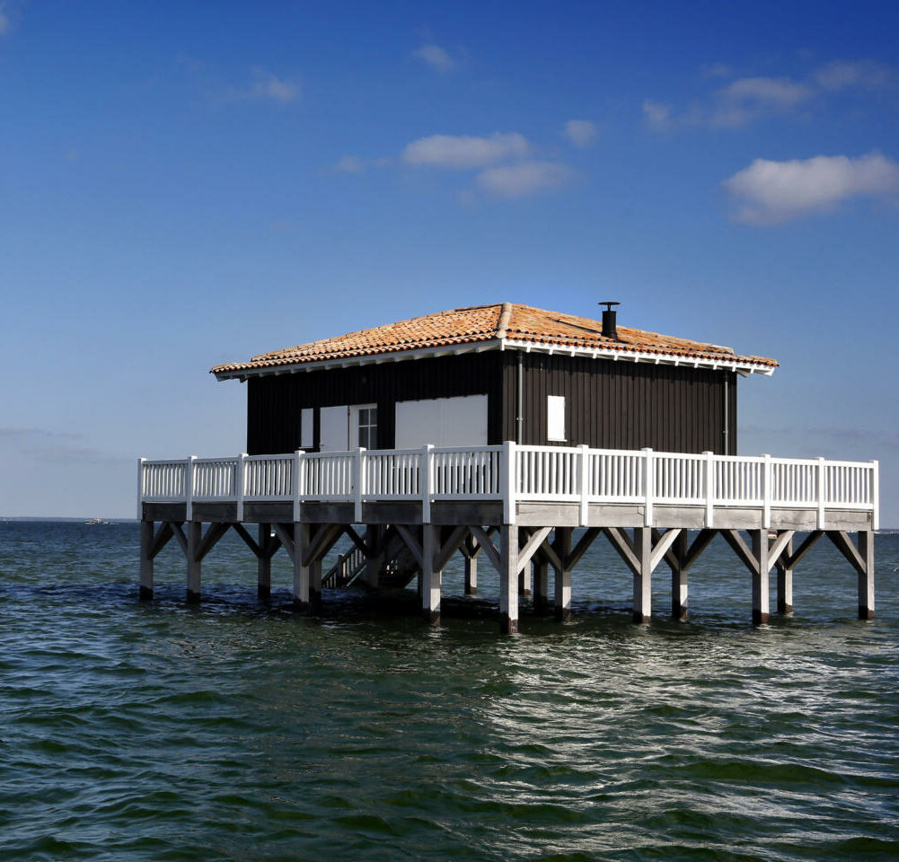 Ile aux oiseaux