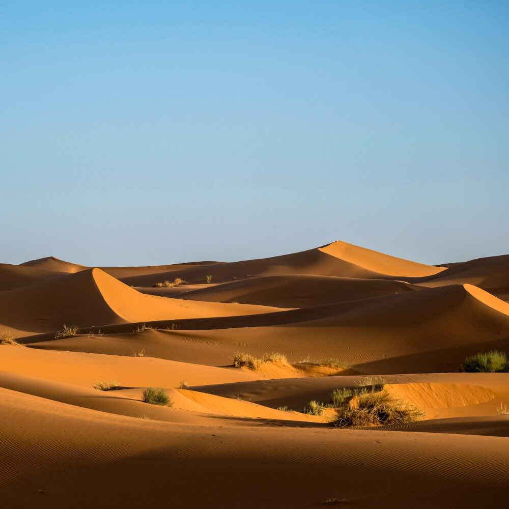 Désert Maroc
