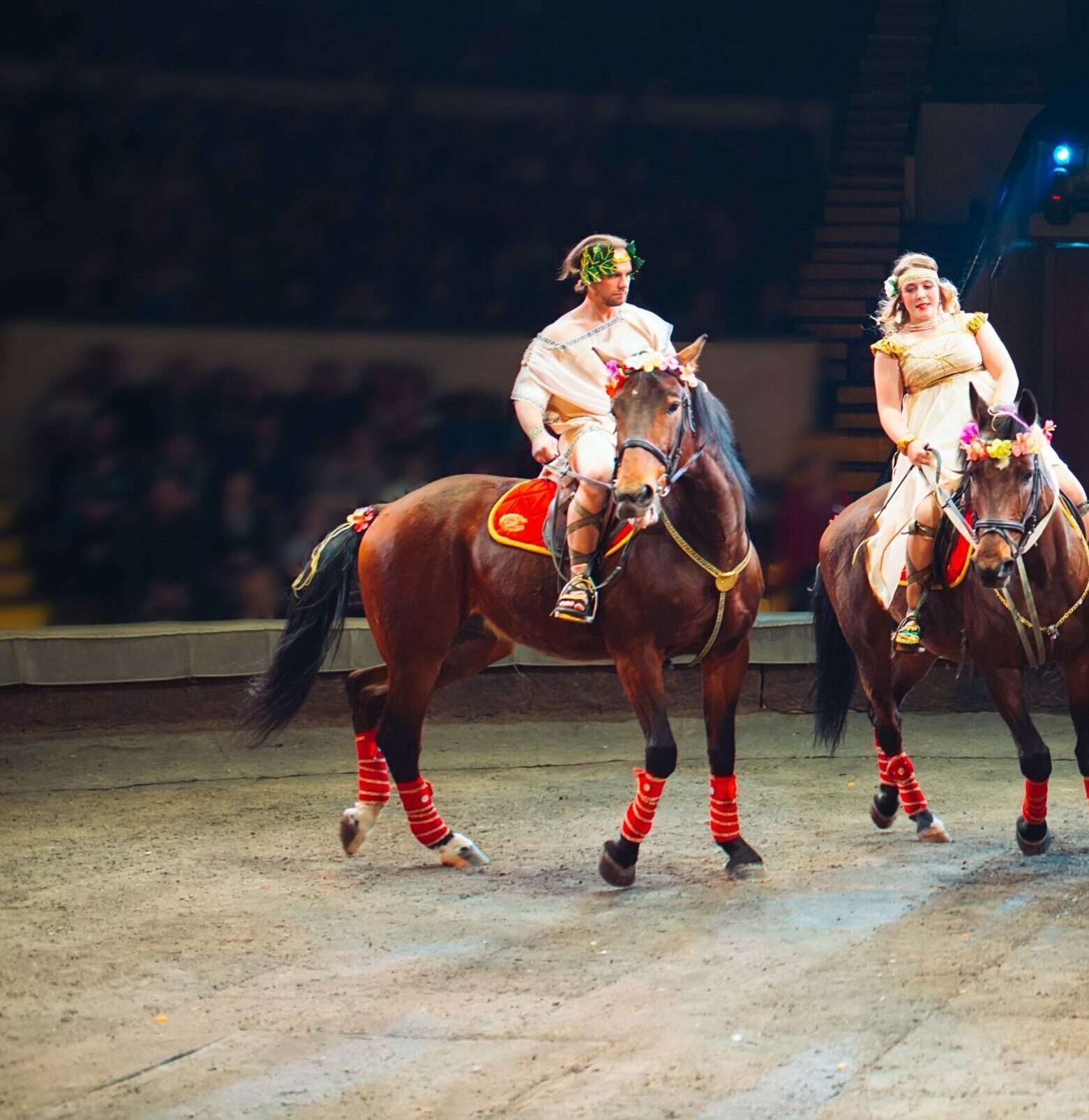 Horses in the circus. Speech horses with trainers on the stage of the circus.